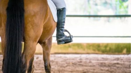 Residents enjoying horse riding at Elan Presidential Phase 2, showcasing outdoor fun and an active lifestyle.